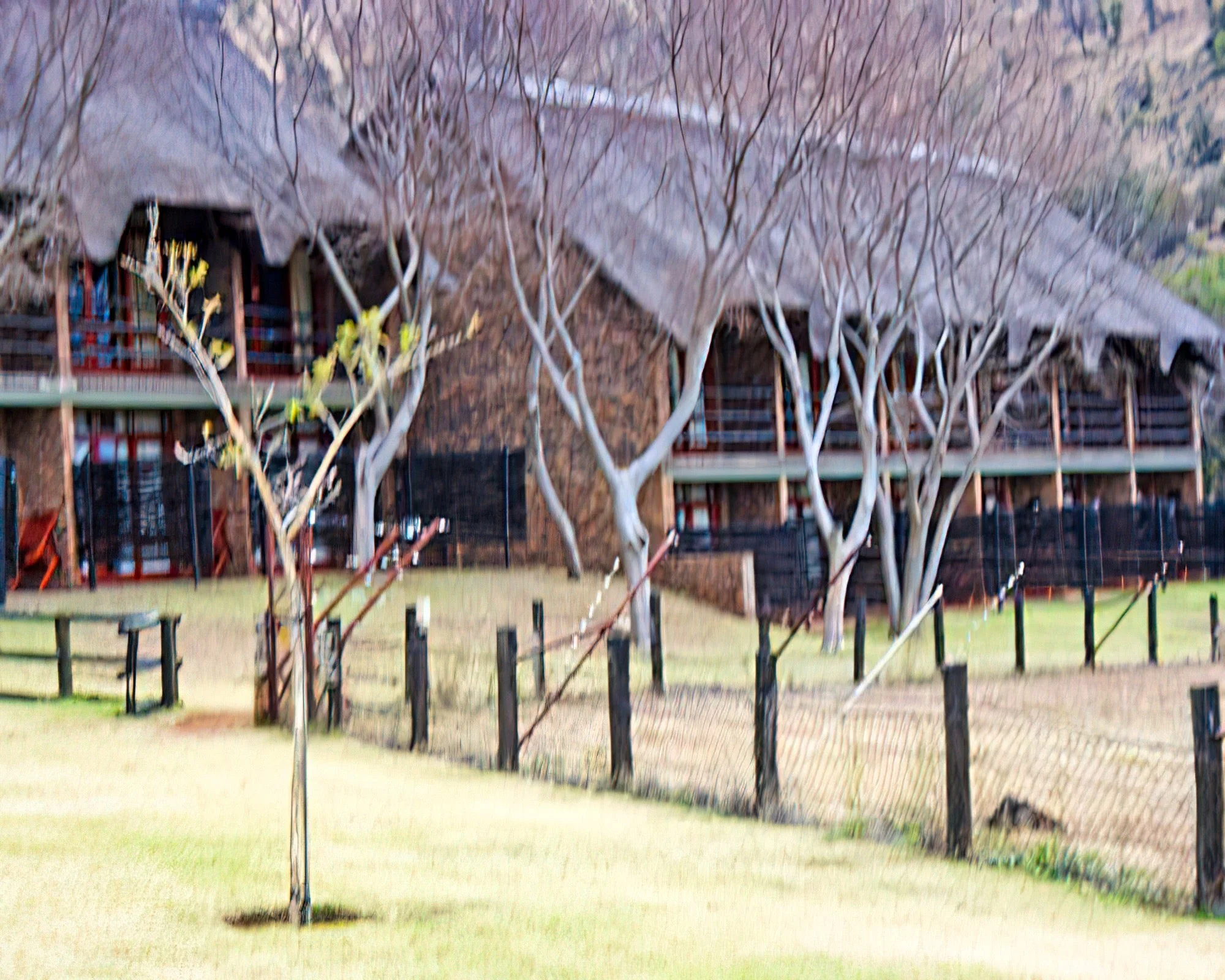 Bakubung Bush Lodge - Image 13