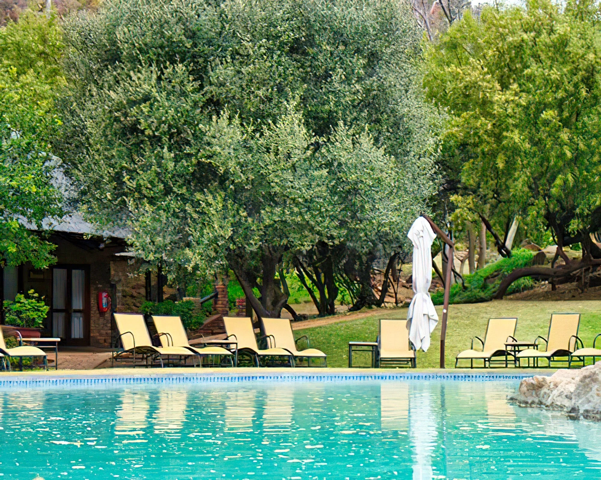 Bakubung Bush Lodge - Image 17