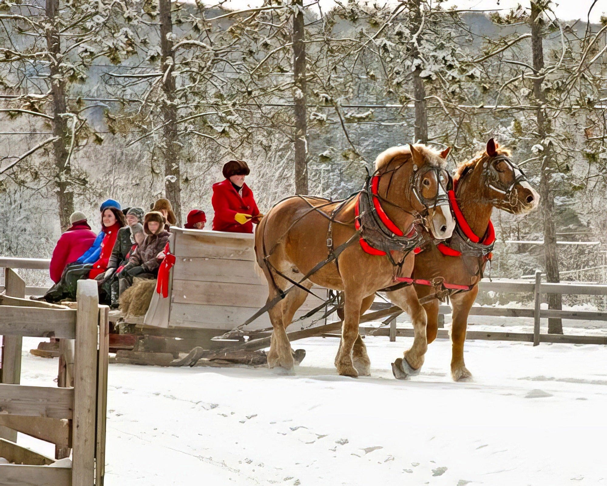 Birchcliff Villas At Deerhurst Resort - Image 4