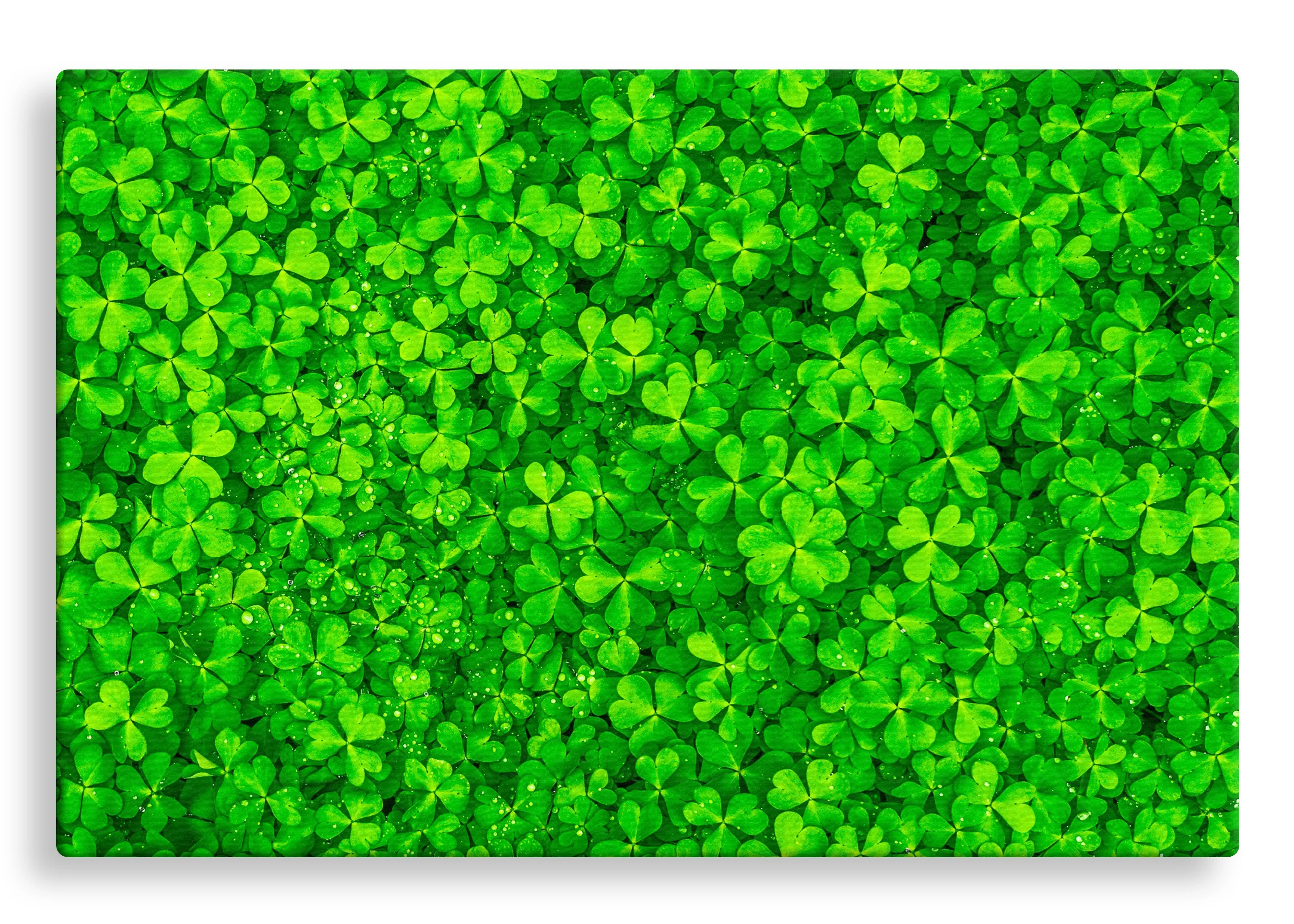 Clover Patch | Gallery Wrap Wall Canvas