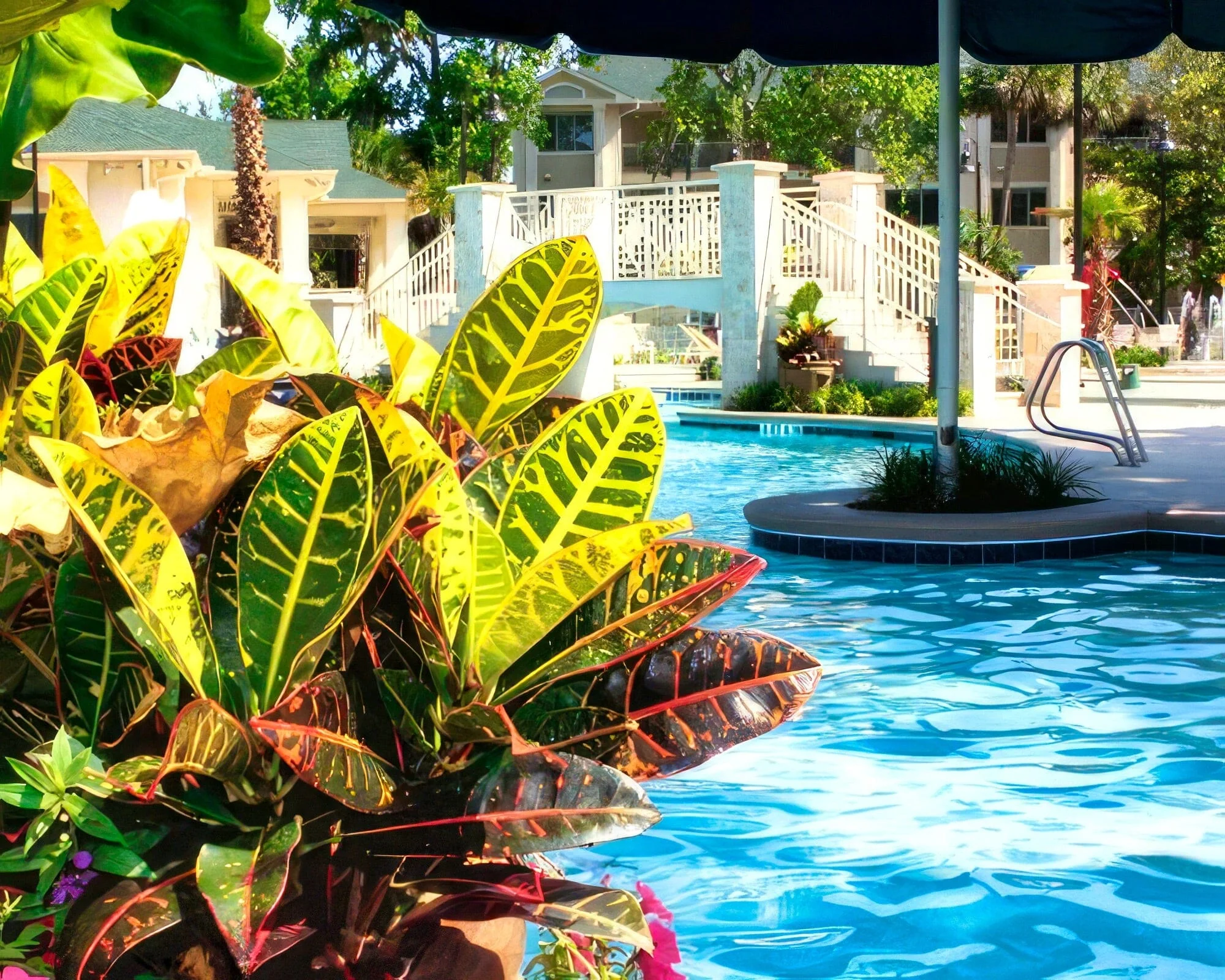 Coral Sands Resort by Sundance - Image 13