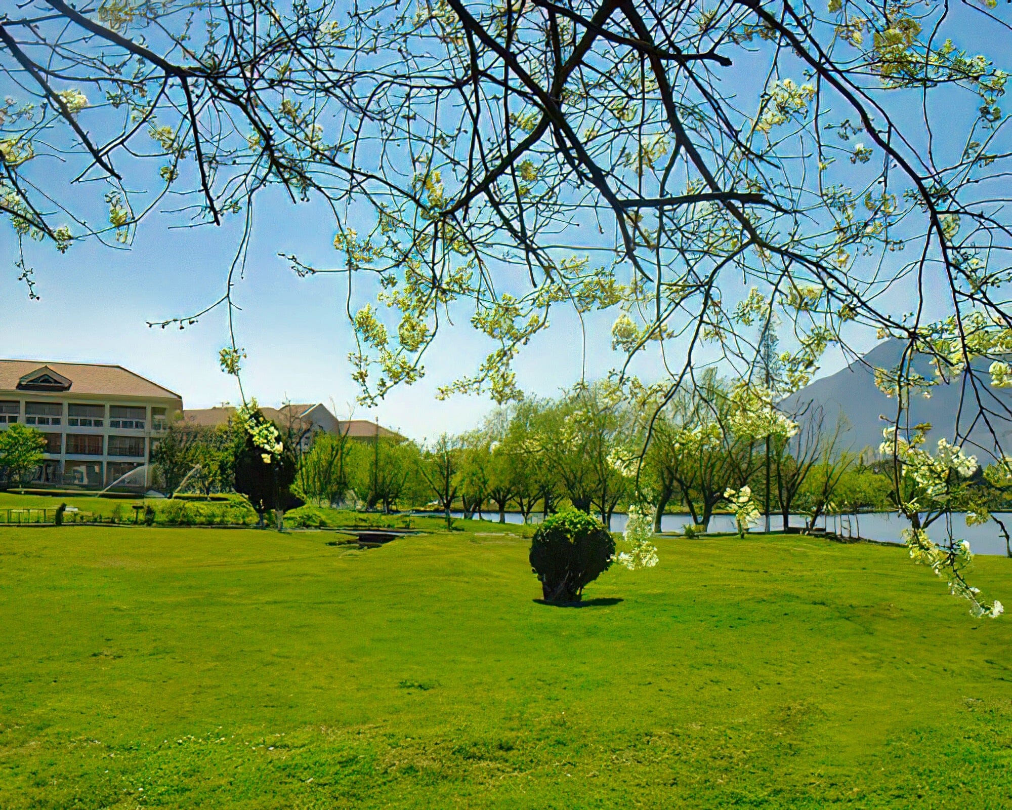 Dianchi Garden Hotel & Spa - Image 4