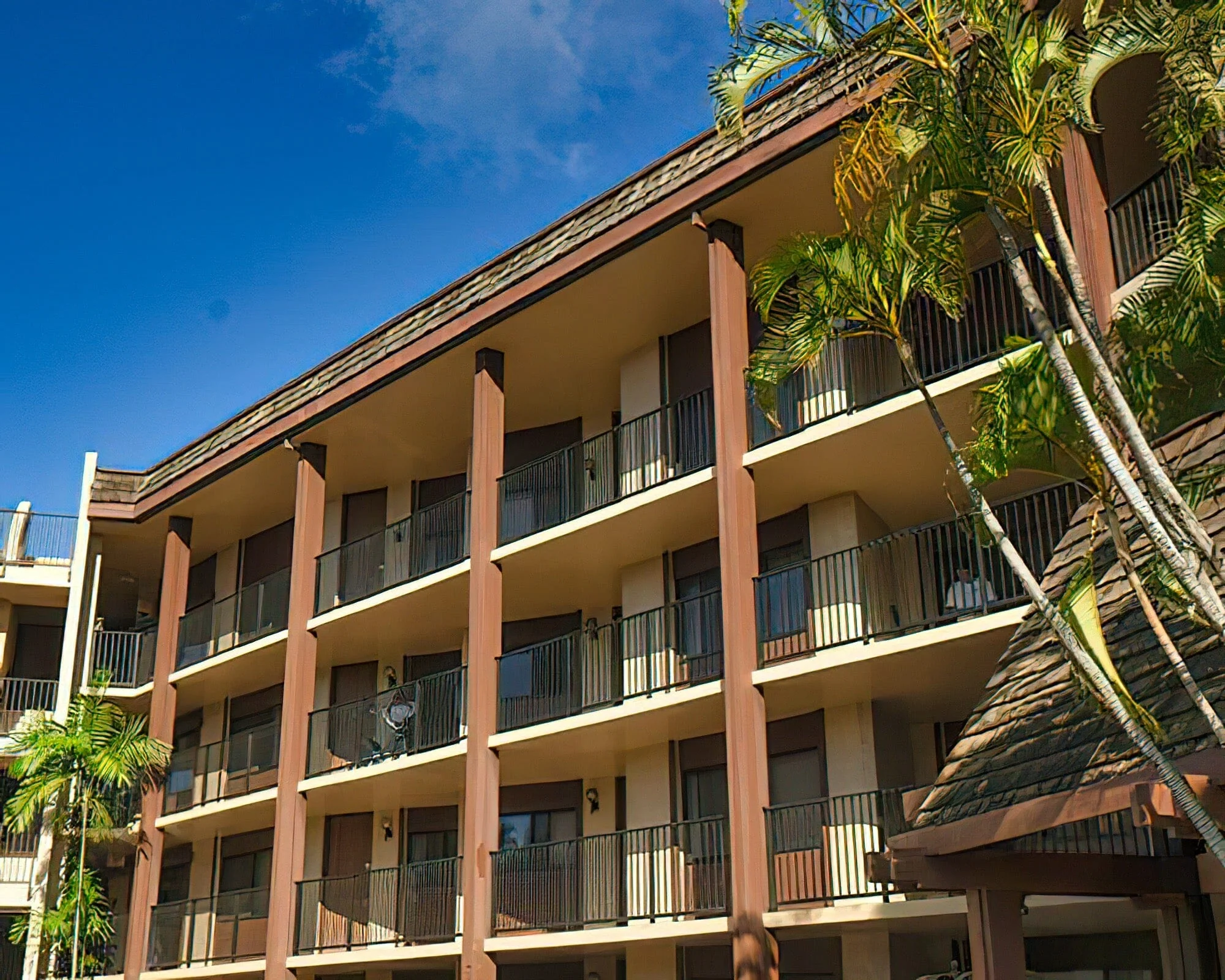 Hono Koa - Image 3