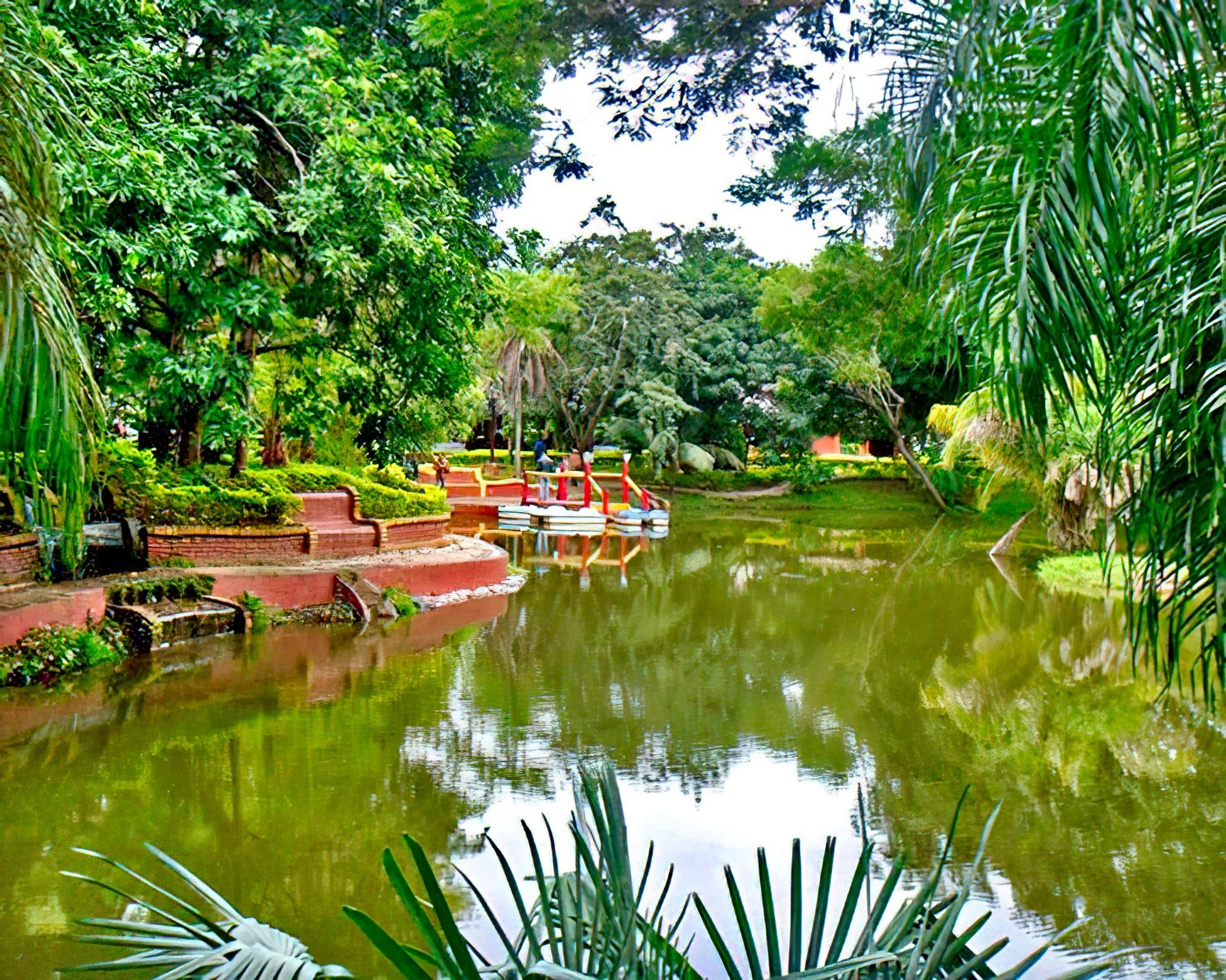 Río Selva Resort Santa Cruz - Image 7