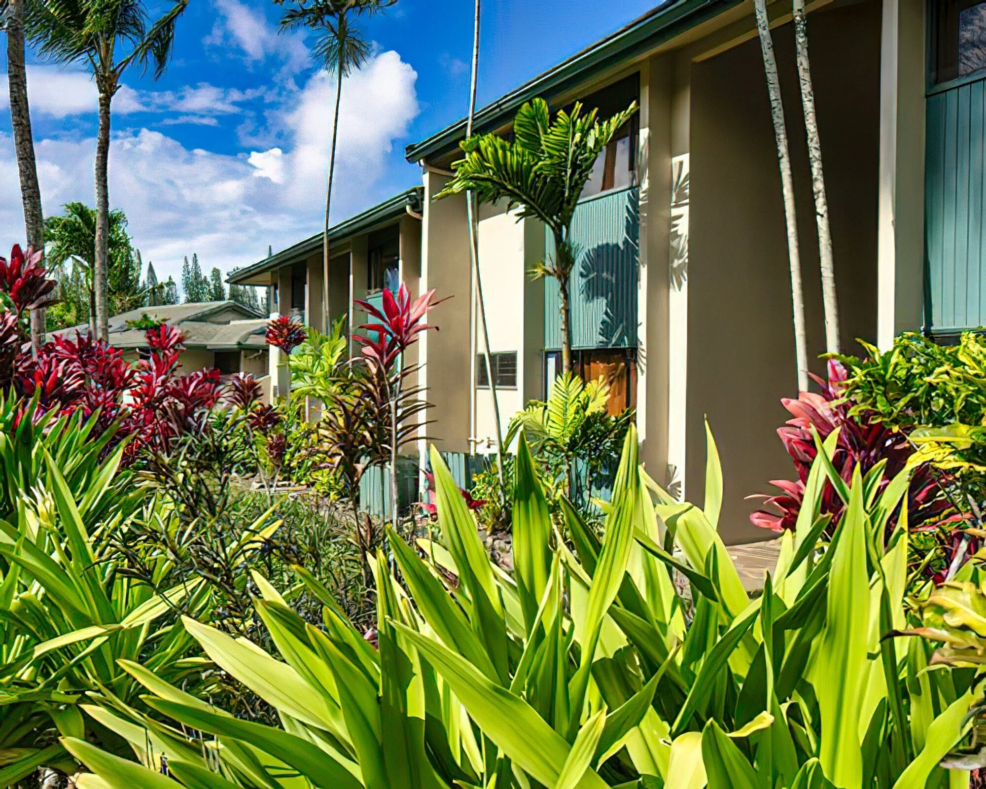 The Gardens at West Maui - Image 12