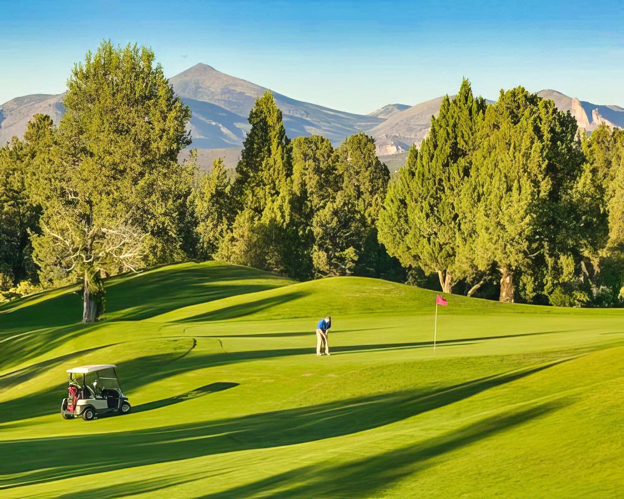 WorldMark Eagle Crest - Image 10